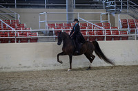 RCAHA19_SatPM_4255