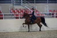 RCAHA19_SatPM_4260