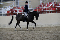 RCAHA19_SatPM_4178