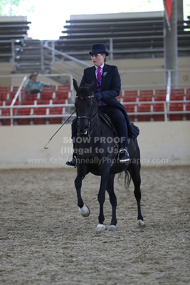RCAHA19_SatPM_4115