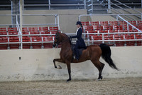 RCAHA19_SatPM_4261