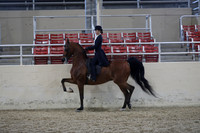 RCAHA19_SatPM_4262