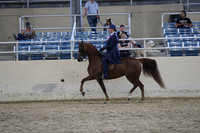 RCAHA19_SatPM_4263