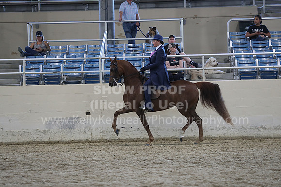 RCAHA19_SatPM_4263