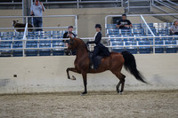 RCAHA19_SatPM_4265