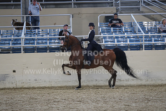 RCAHA19_SatPM_4265