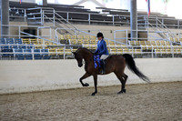 RCAHA19_SatPM_4190