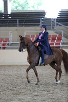 RCAHA19_SatPM_4272