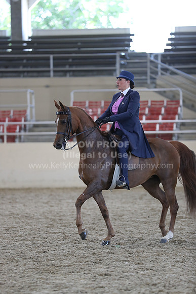 RCAHA19_SatPM_4272