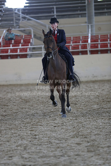 RCAHA19_SatPM_4128