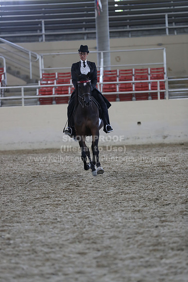 RCAHA19_SatPM_4129