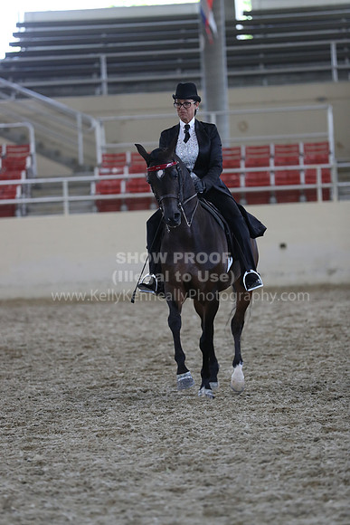 RCAHA19_SatPM_4130