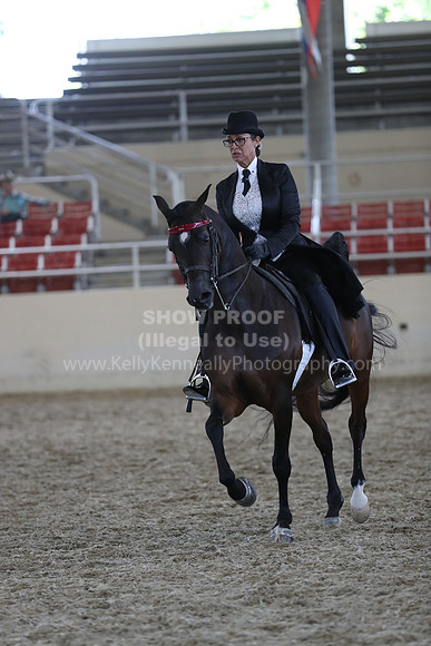RCAHA19_SatPM_4131