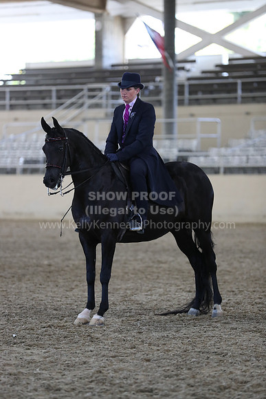 RCAHA19_SatPM_4134