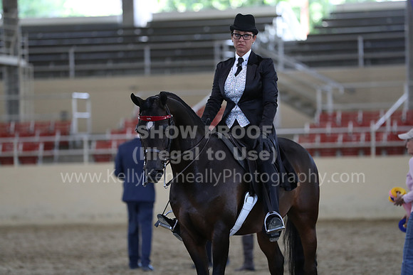 RCAHA19_SatPM_4135