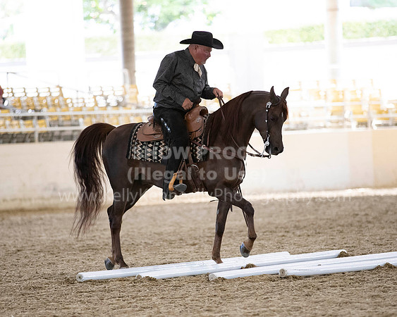 RCAHA19_SatPM_4341 copy