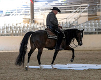 Class 162 Arabian Ranch Horse Riding Championship