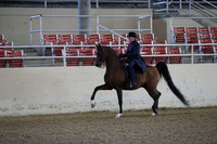 Class 166 Arabian Country English Pleasure Championship AATR