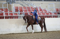 Class 168 HA/AA Western Pleasure Championship ATR