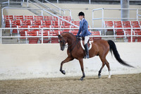 Class 170 HA/AA Hunter Pleasure Championship AATR