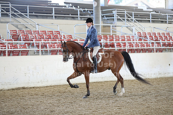RCAHA19_Sun_4735