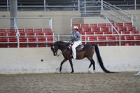 Class 174 Arabian Western Pleasure Championship