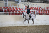 Class 175 Arabian Hunter Pleasure Championship Jr Horse