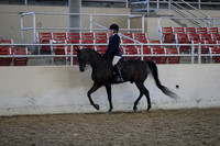 Class 176 AHA Hunter Seat Equitation Medal JTR 15-18