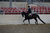 Class 180 HA/AA Hunter Pleasure Championship Jr. Horse