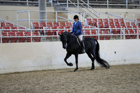 Class 182 HA/AA Hunter Pleasure Champioship JTR 18 & Under