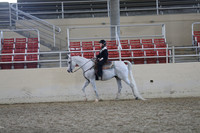 Class 184 Walk-Trot Western/Hunter/Saddle Seat Equitation 10 & Under Championship