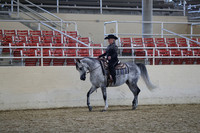 Class 185 Arabian Western Pleasure Championship ATR