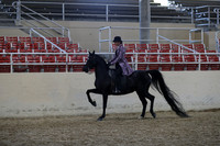 Class 186 Arabian Country English Pleasure Champ JTR 18 & Under