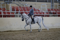 Class 187 Arabian Hunter Pleasure Championship AATR