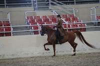 Class 188 HA/AA Country English Pleasure Championship