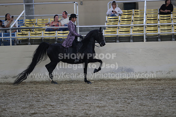 RCAHA19_Sun_5708
