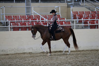Class 191 HA/AA Western Pleasure hampionship