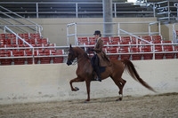 Class 190 HA/AA Country English Pleasure Championship ATR