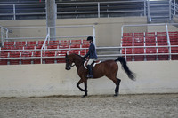 Class 192 Arabian Hunter Pleasure Championship JTR 14 & Under