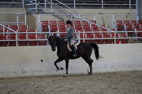 Class 193 HA/AA Hunter Pleasure Championship