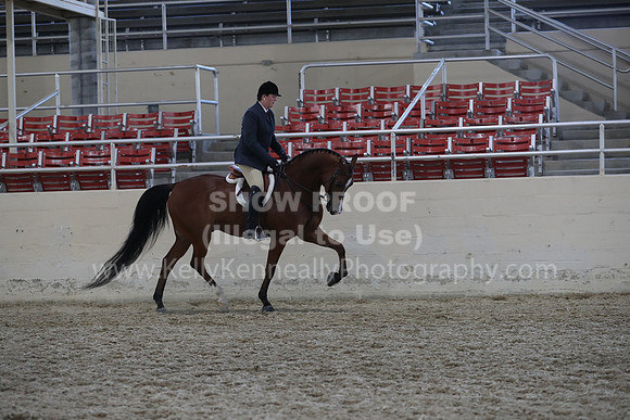RCAHA19_Sun_6168
