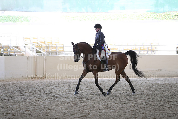 RCAHA19_Sun_6127