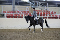 Class 173 Arabian Hunter Pleasure Championship JTR 15-18