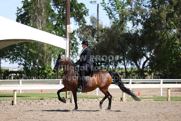 DAHA22_Thurs_0807