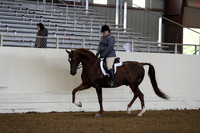 Class 6 HA/AA Hunter Pleasure Geldings