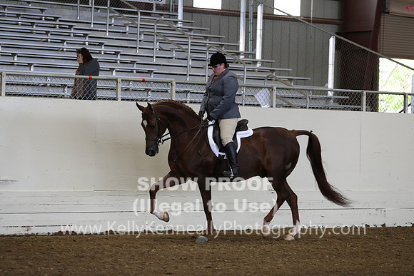 AHANC19_ThursAM_0109