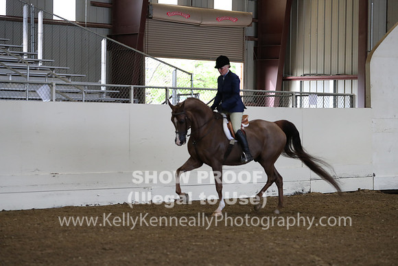 AHANC19_ThursAM_0110