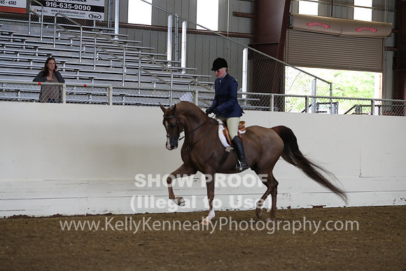 AHANC19_ThursAM_0111