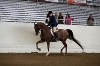 AHANC19_ThursAM_0112