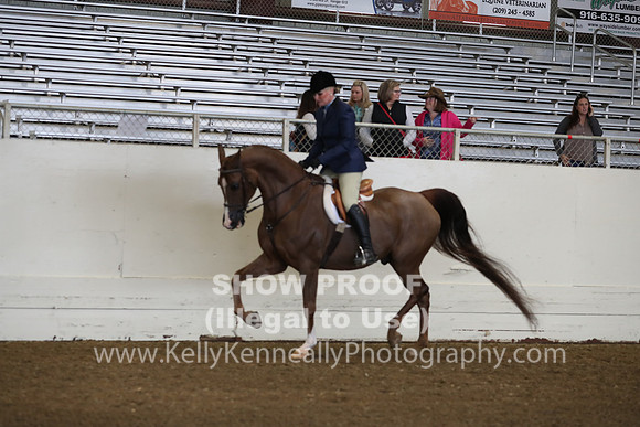 AHANC19_ThursAM_0112